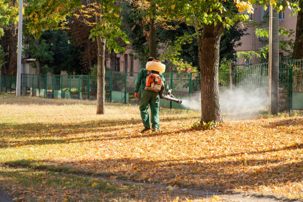 Best Emergency Pest Control  in North St Paul, MN