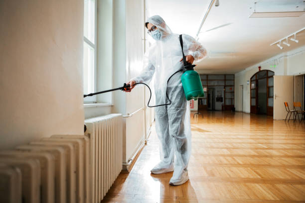 Best Affordable Pest Control Services  in North St Paul, MN